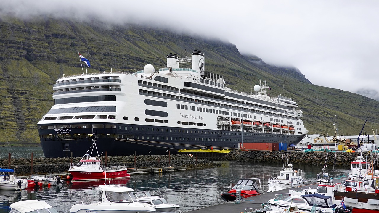 The Environmental Impact of Cruise Tourism